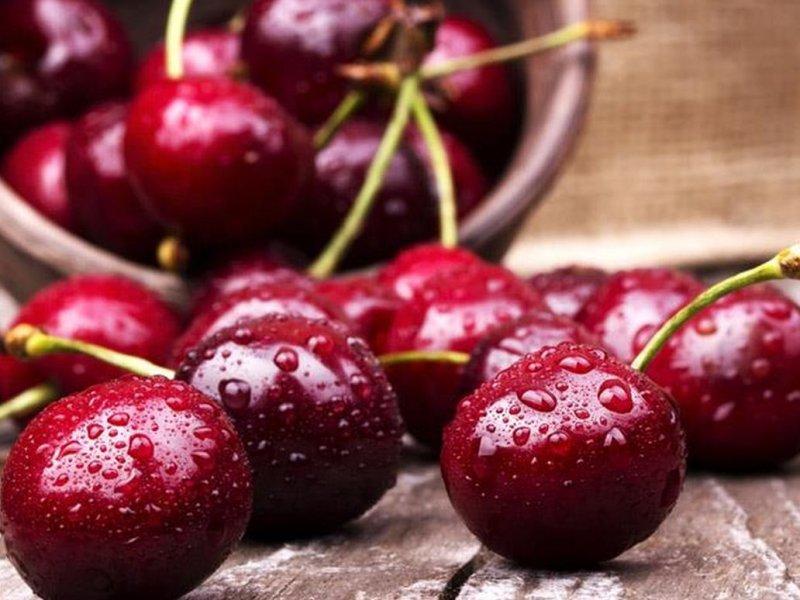 Вишня купить саженцы из питомника во Фрязино